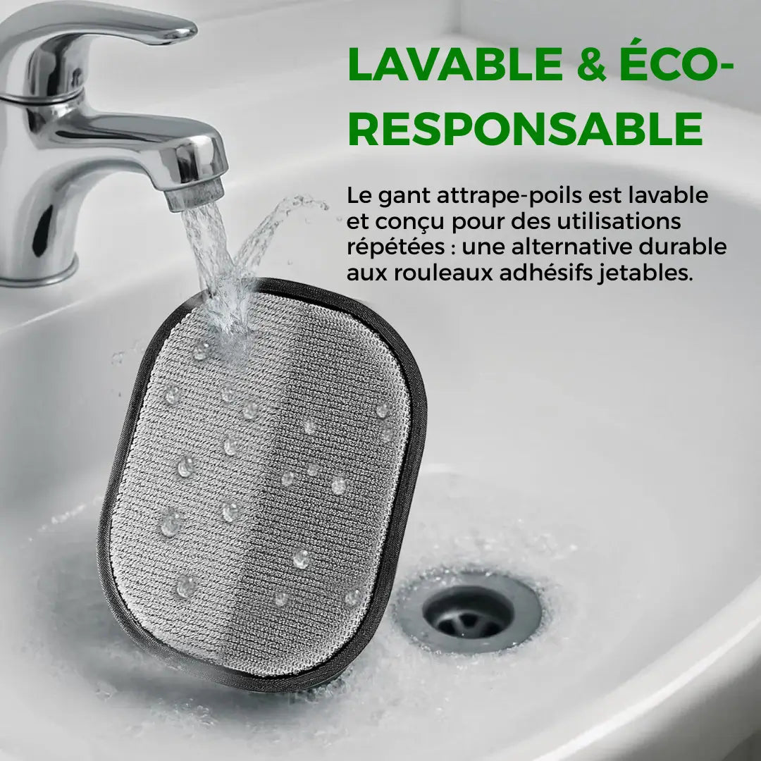 Attrape'Poils Glove | Reusable & Eco-Friendly