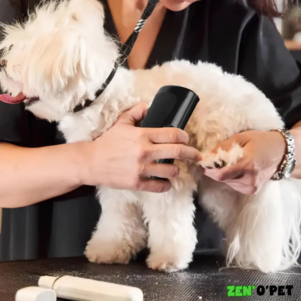 PelageZen Brush – Removes 95% of Pet Hair in 2 Minutes