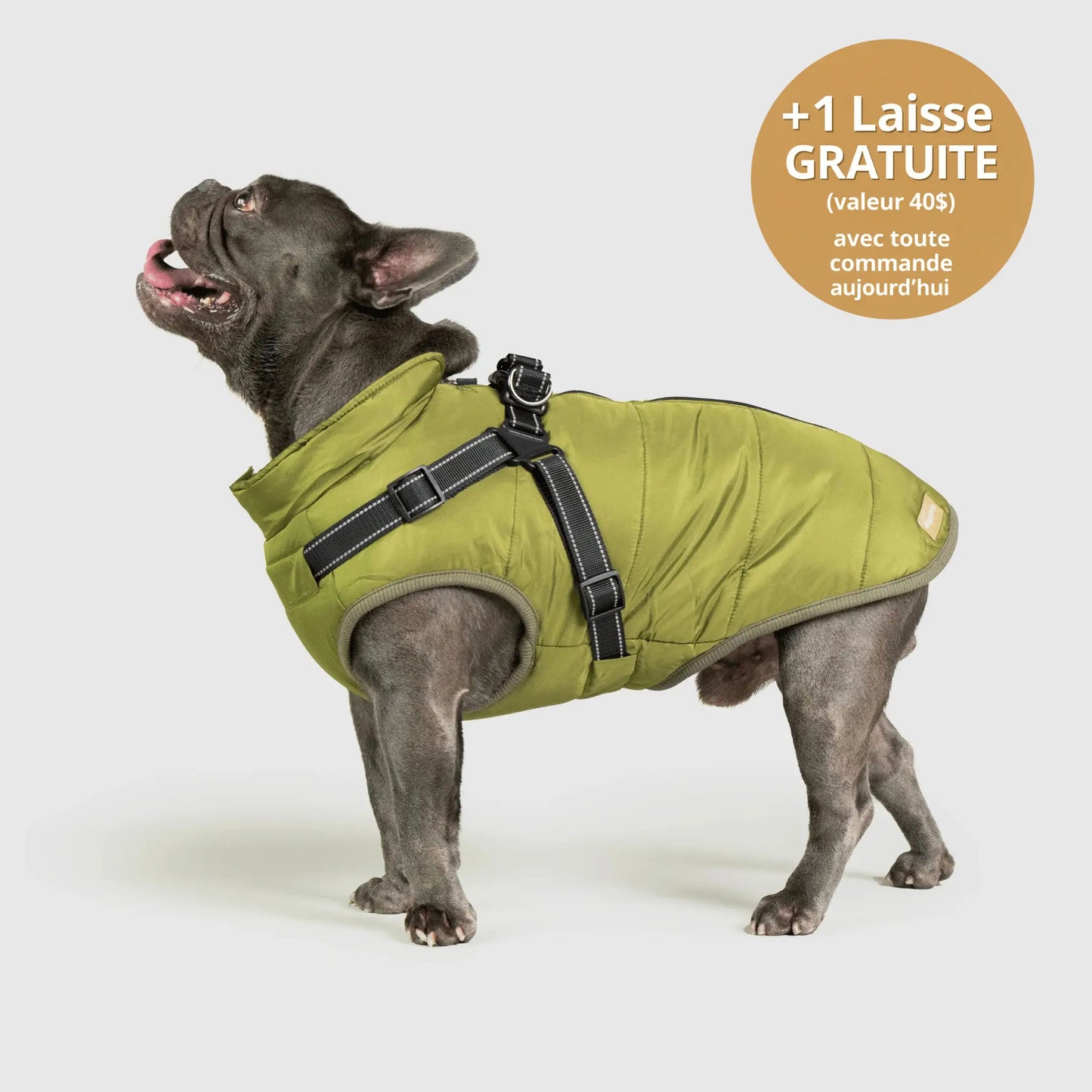 NordicPaws™ 3-in-1 Coat