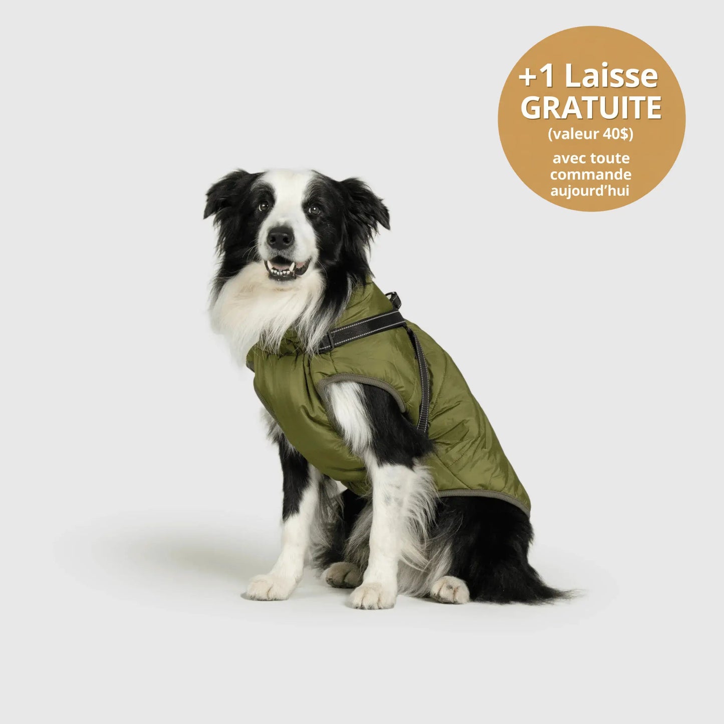 NordicPaws™ 3-in-1 Coat