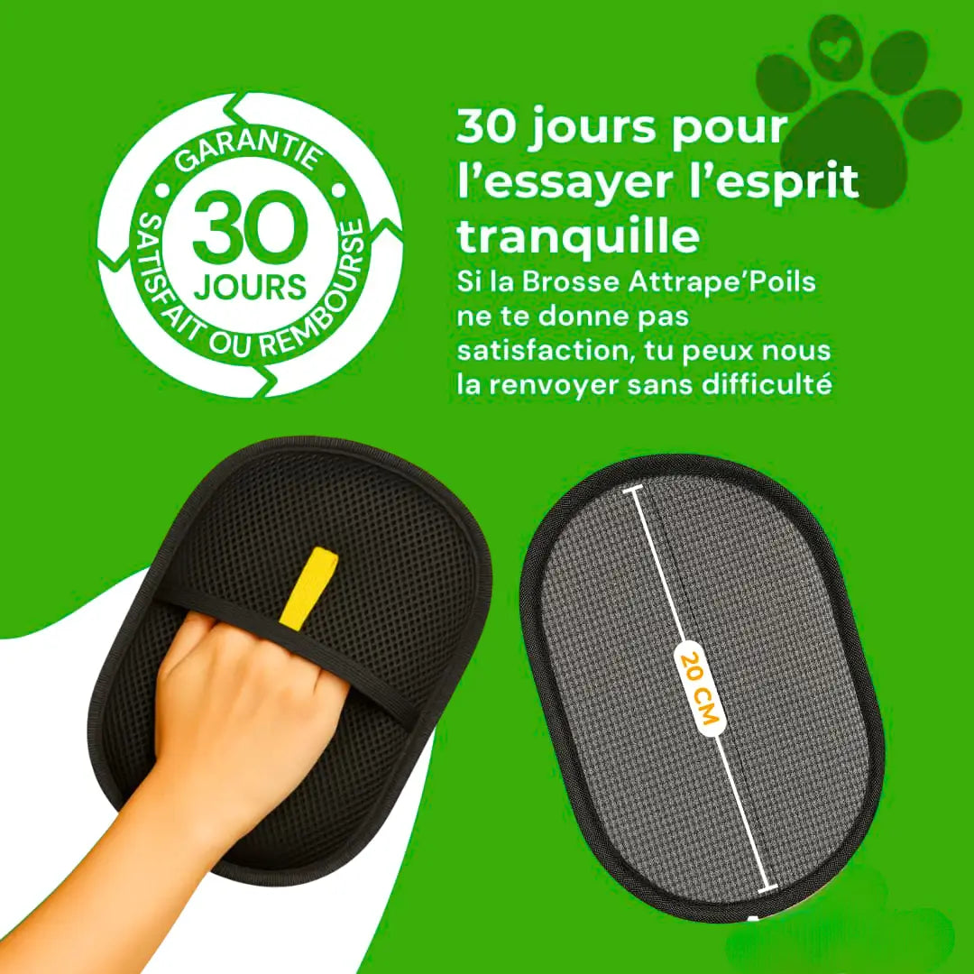 Attrape'Poils Glove | Reusable & Eco-Friendly