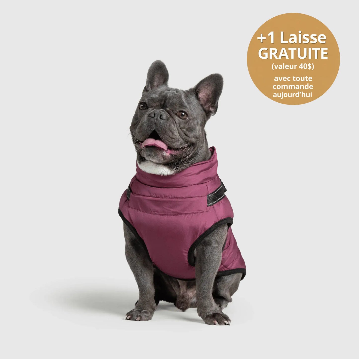 NordicPaws™ 3-in-1 Coat