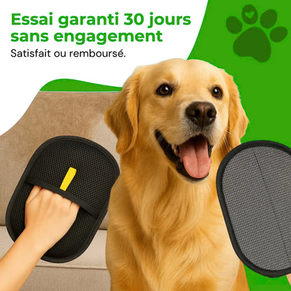 Attrape'Poils Glove | Reusable & Eco-Friendly