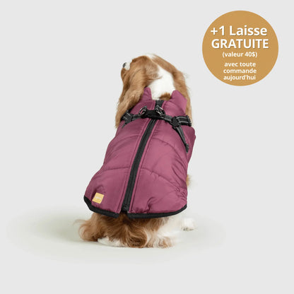 NordicPaws™ 3-in-1 Coat