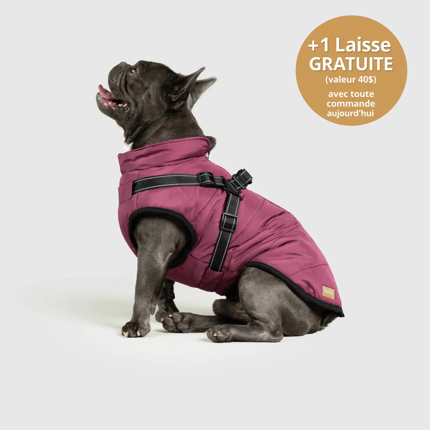 NordicPaws™ 3-in-1 Coat