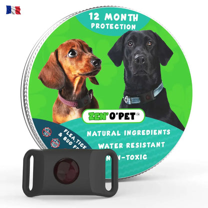 12-Month Flea & Tick Protection for Your Dog