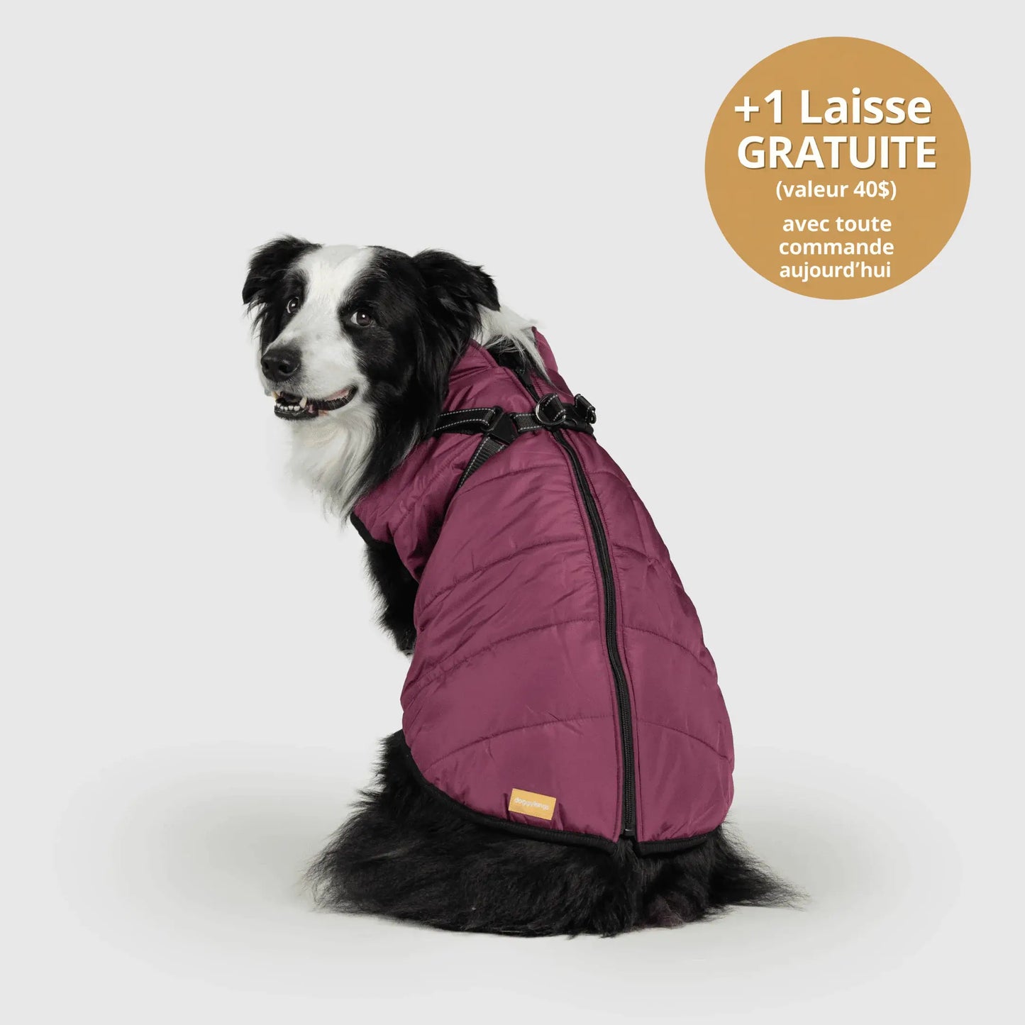 NordicPaws™ 3-in-1 Coat