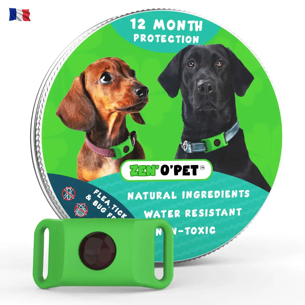 12-Month Flea & Tick Protection for Your Dog