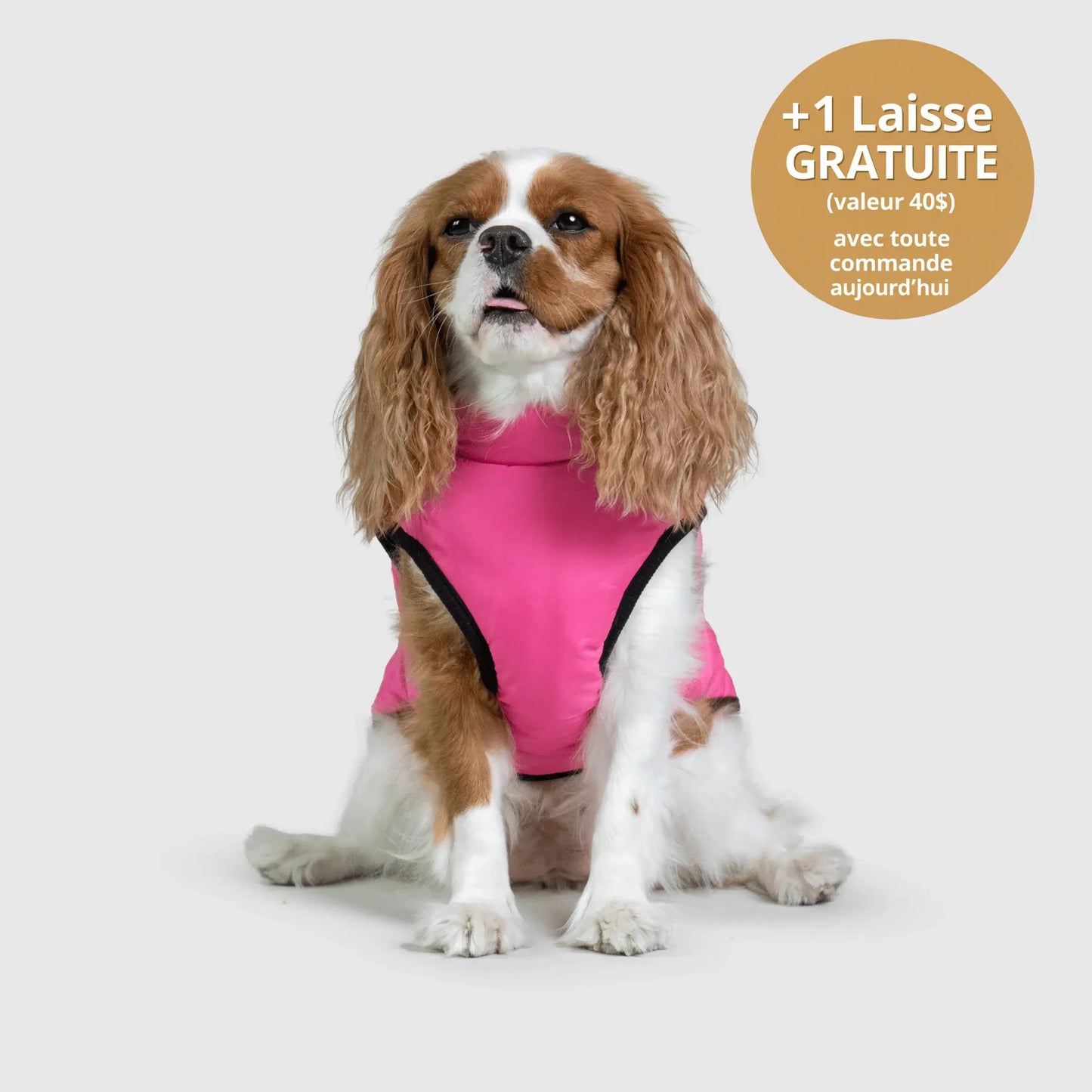 NordicPaws™ 3-in-1 Coat