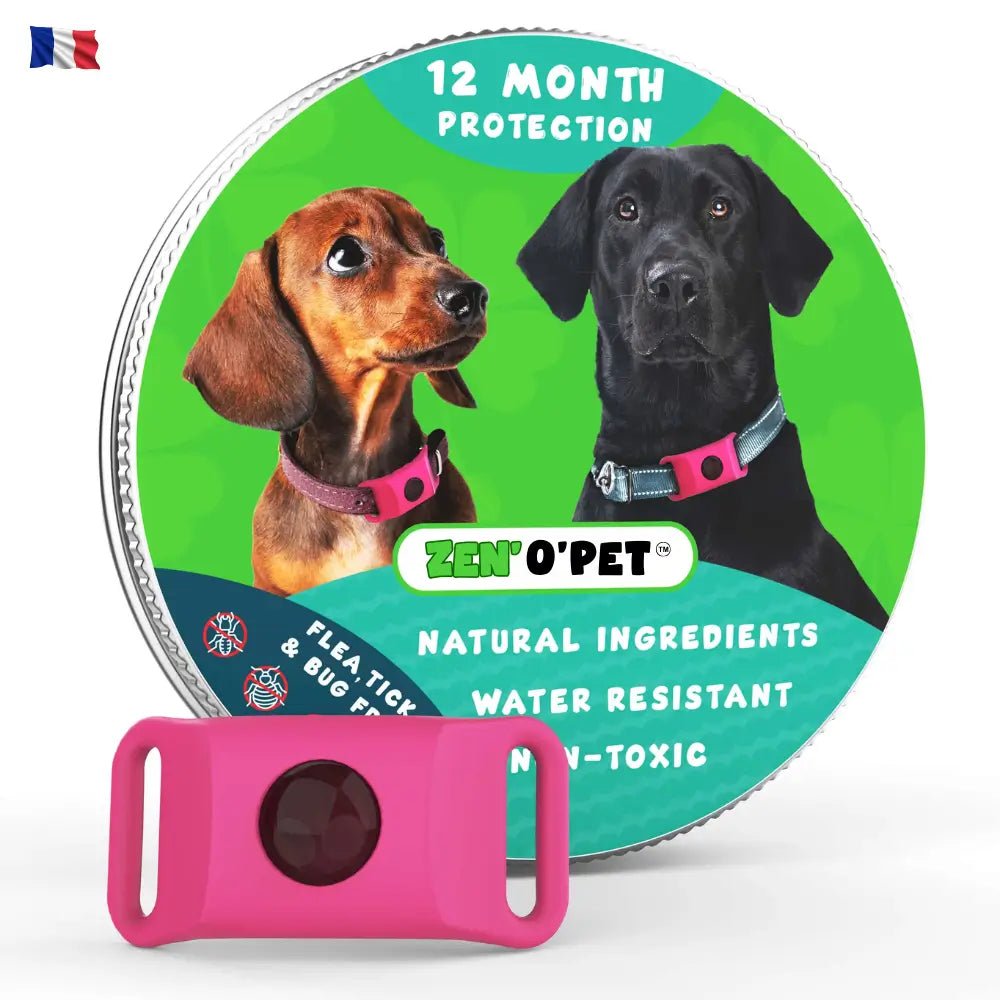 12-Month Flea & Tick Protection for Your Dog