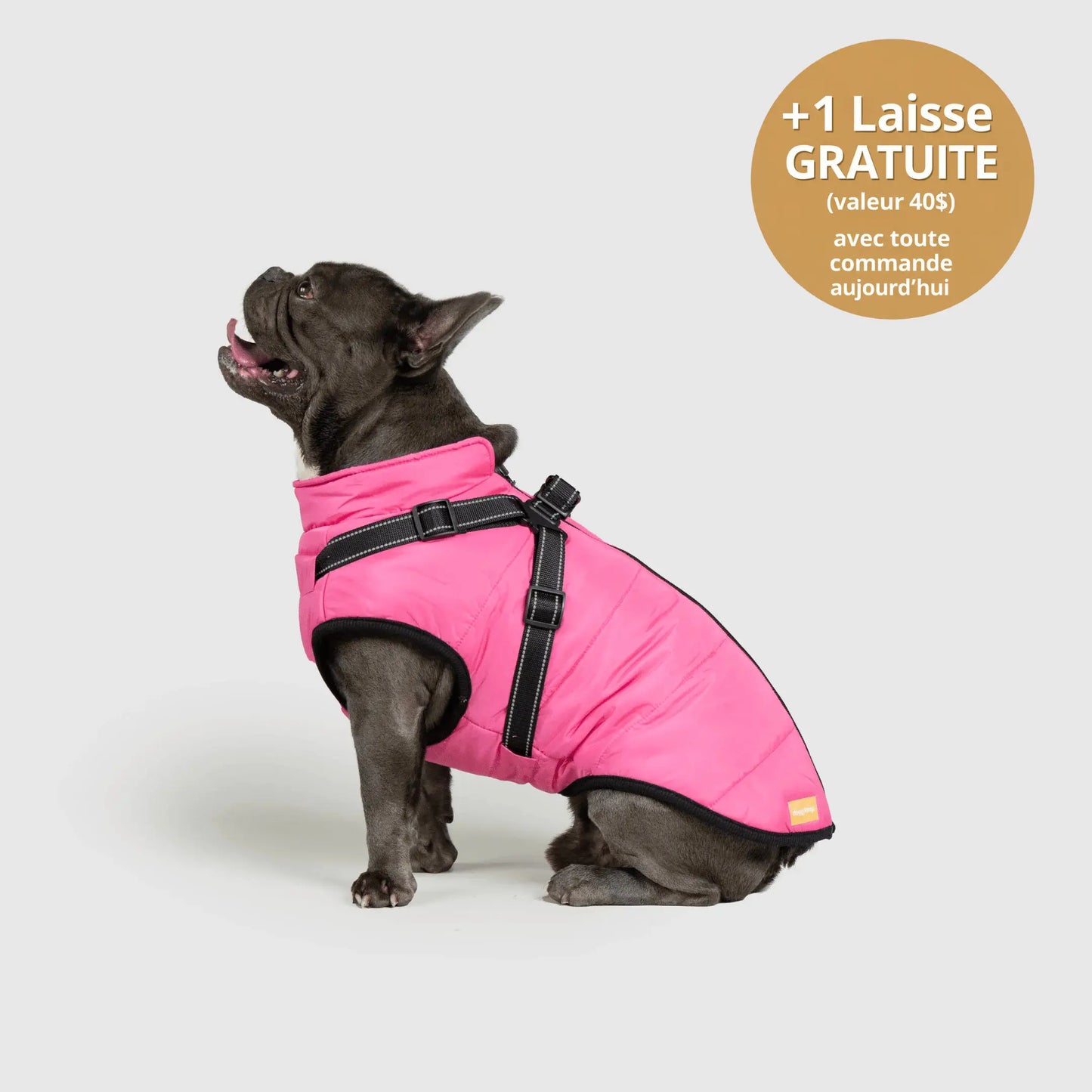 NordicPaws™ 3-in-1 Coat