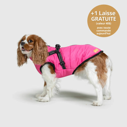 NordicPaws™ 3-in-1 Coat