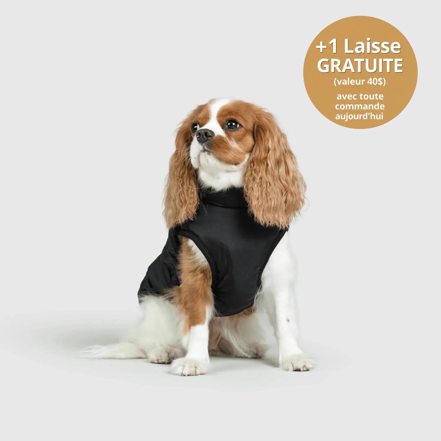 NordicPaws™ 3-in-1 Coat