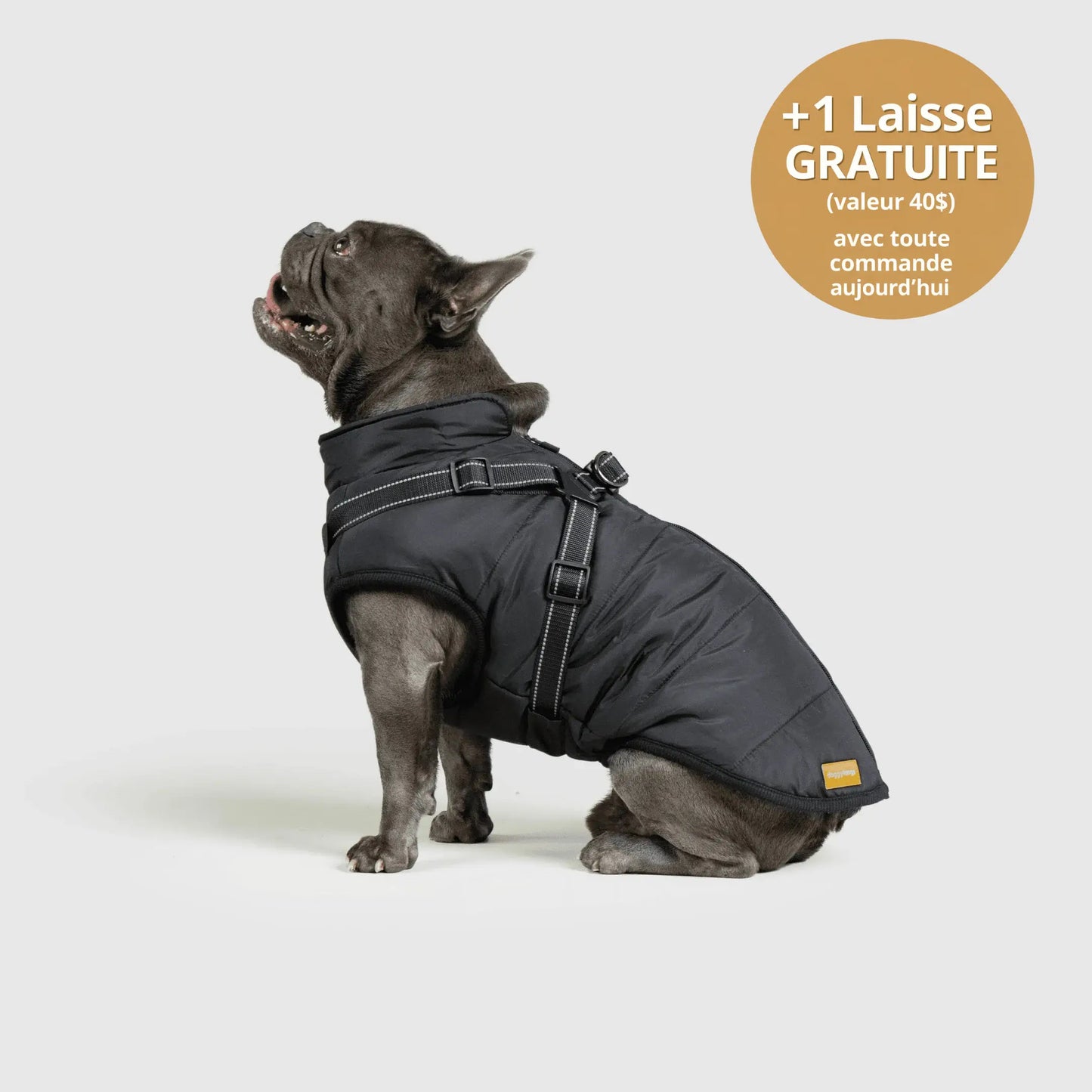 NordicPaws™ 3-in-1 Coat