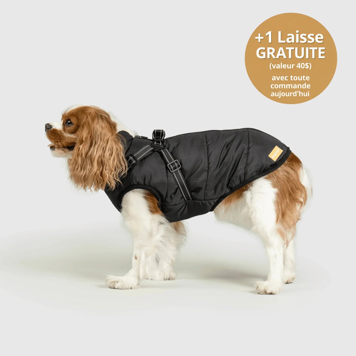 NordicPaws™ 3-in-1 Coat