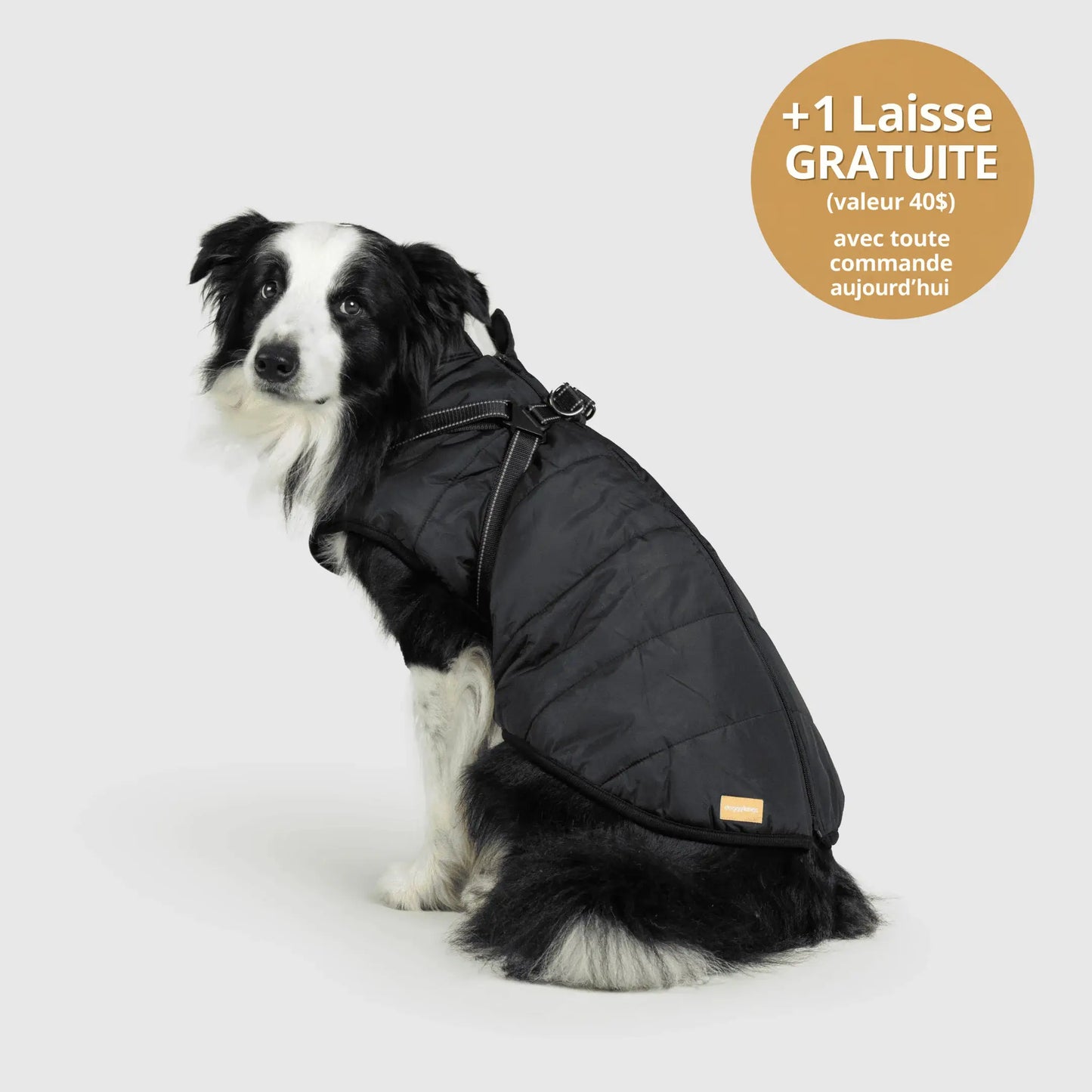 NordicPaws™ 3-in-1 Coat