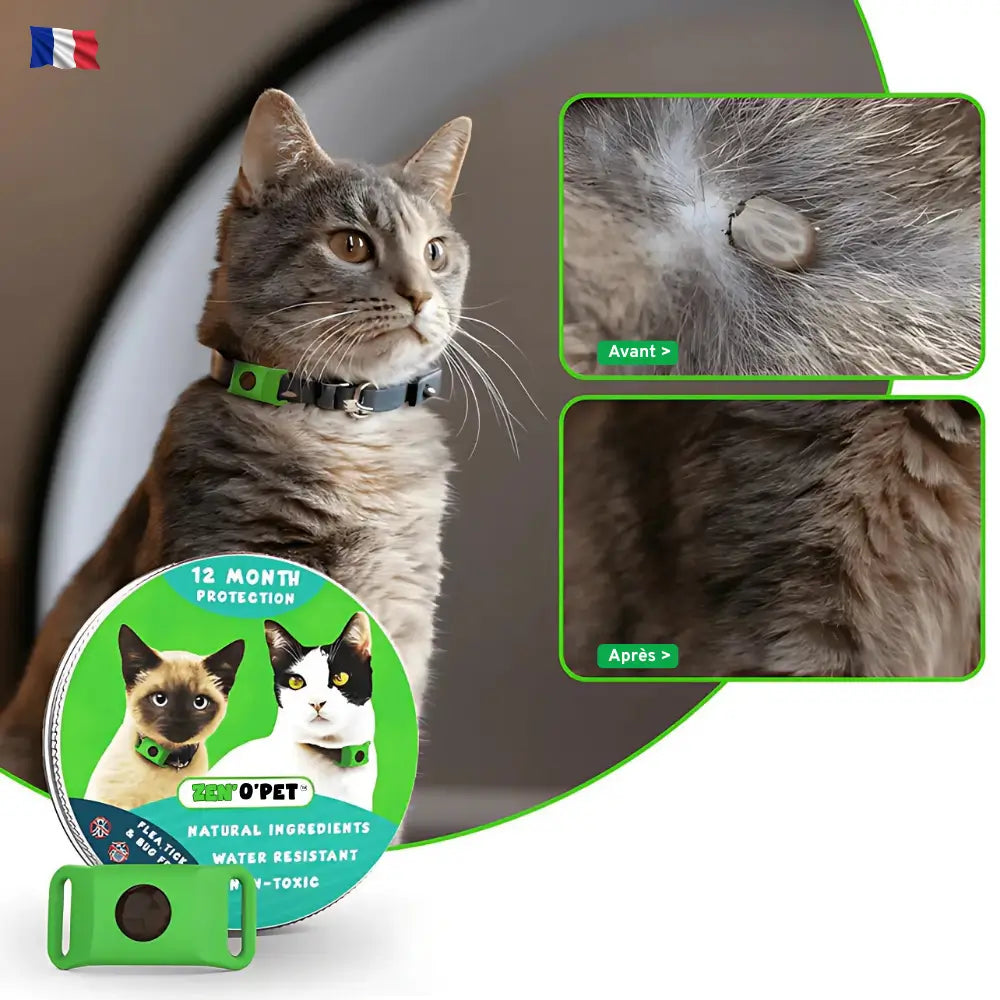 12-Month Flea & Tick Protection for Your Cat