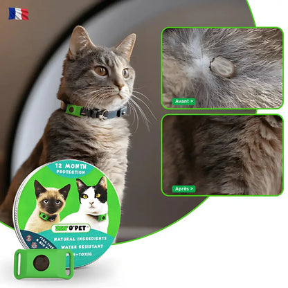 12-Month Flea & Tick Protection for Your Cat
