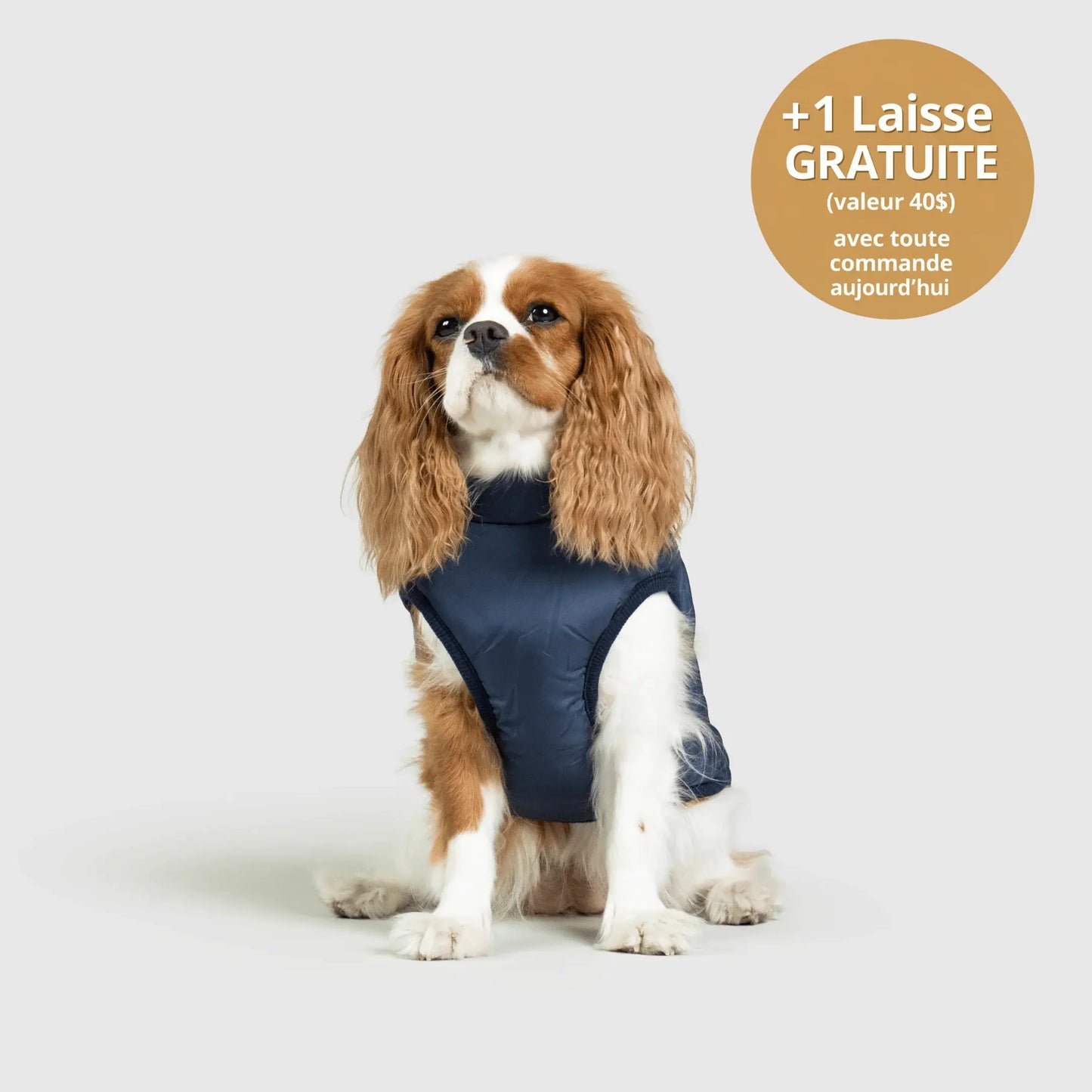 NordicPaws™ 3-in-1 Coat