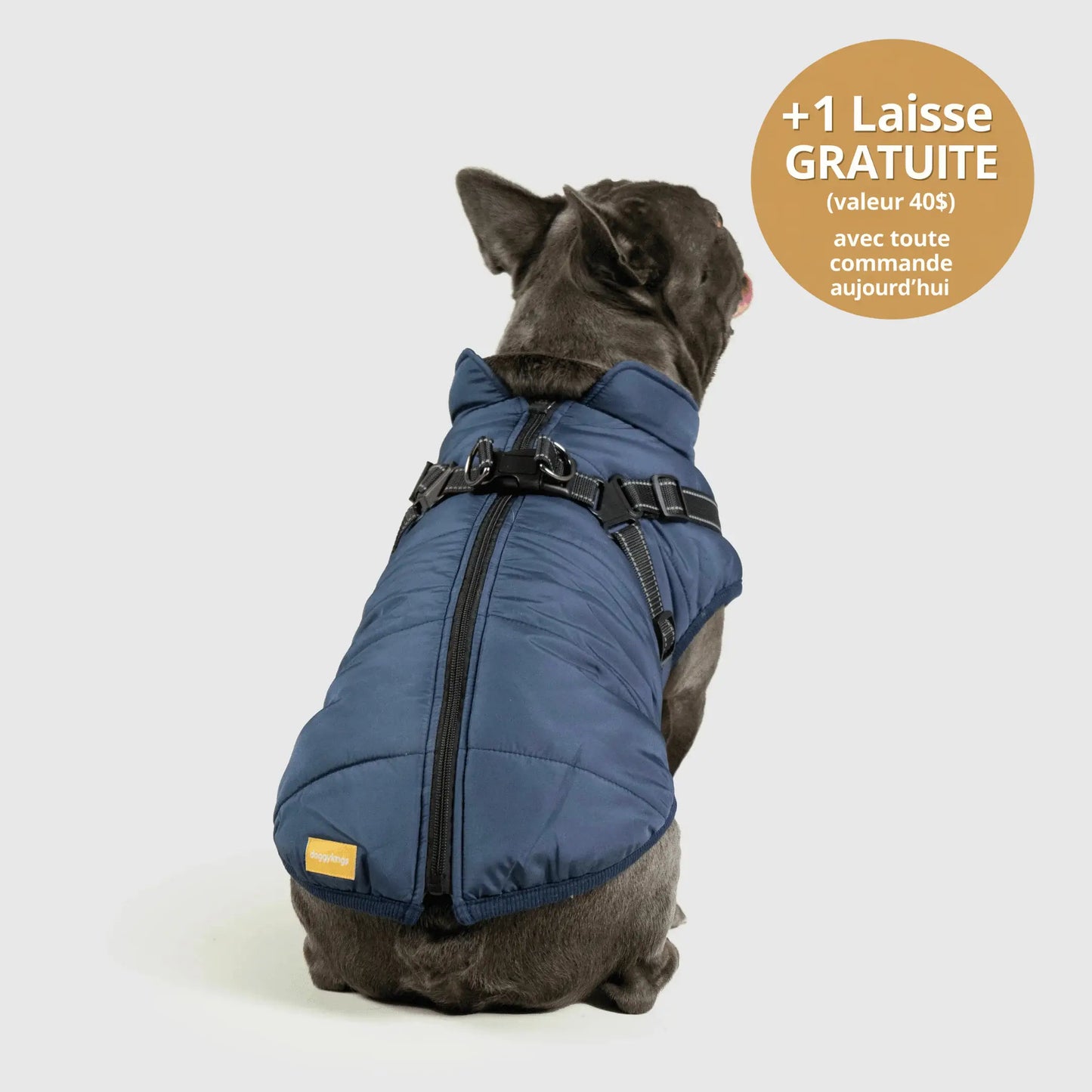 NordicPaws™ 3-in-1 Coat