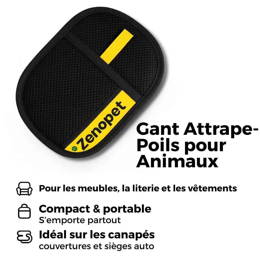 Attrape'Poils Glove | Reusable & Eco-Friendly