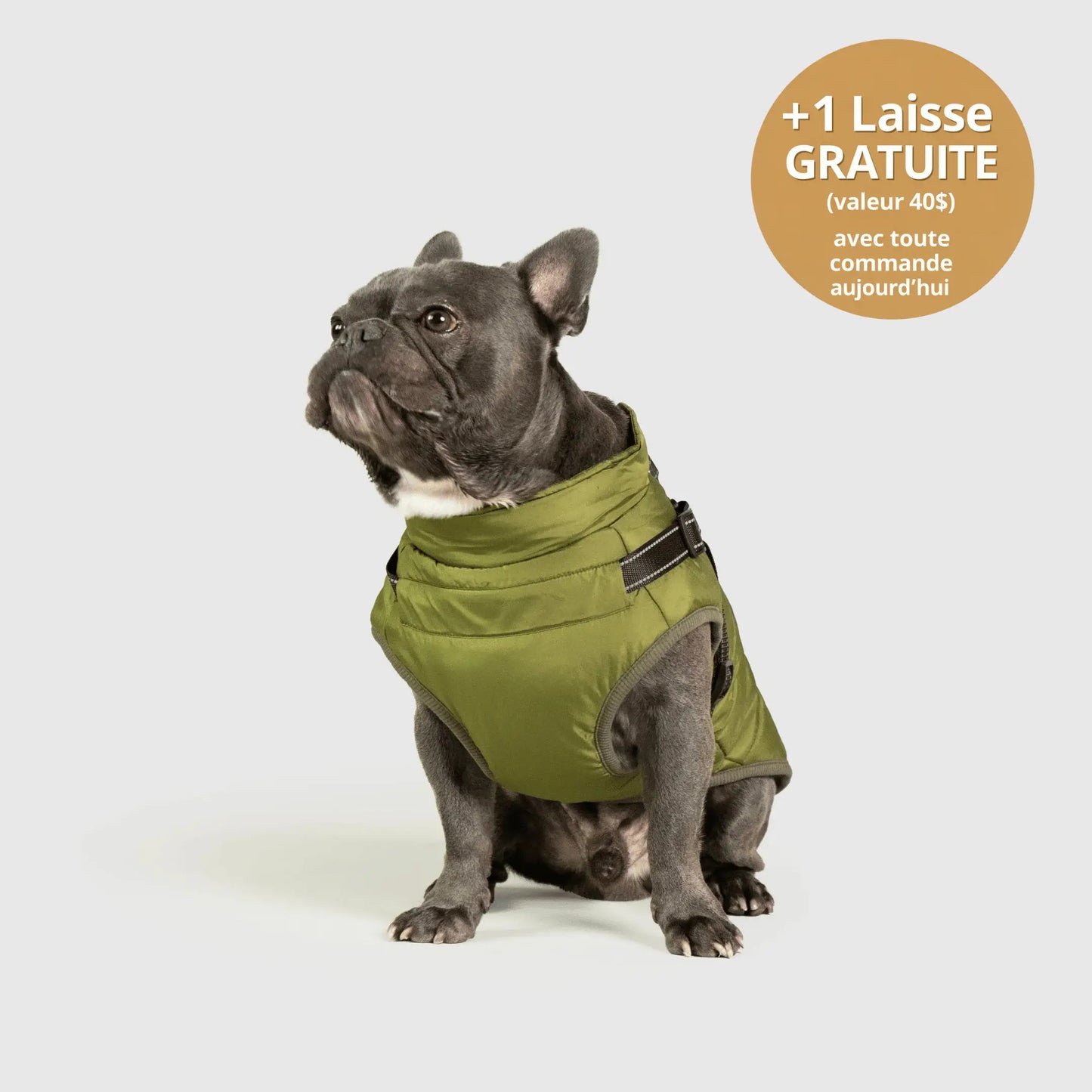 NordicPaws™ 3-in-1 Coat