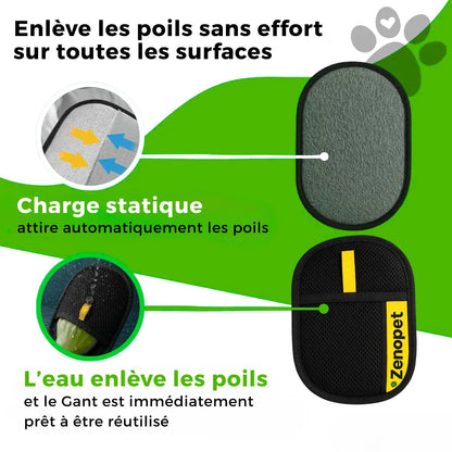 Attrape'Poils Glove | Reusable & Eco-Friendly