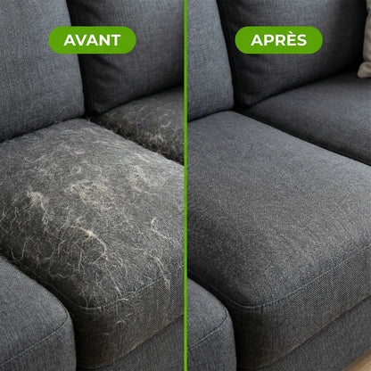Attrape'Poils Glove | Reusable & Eco-Friendly