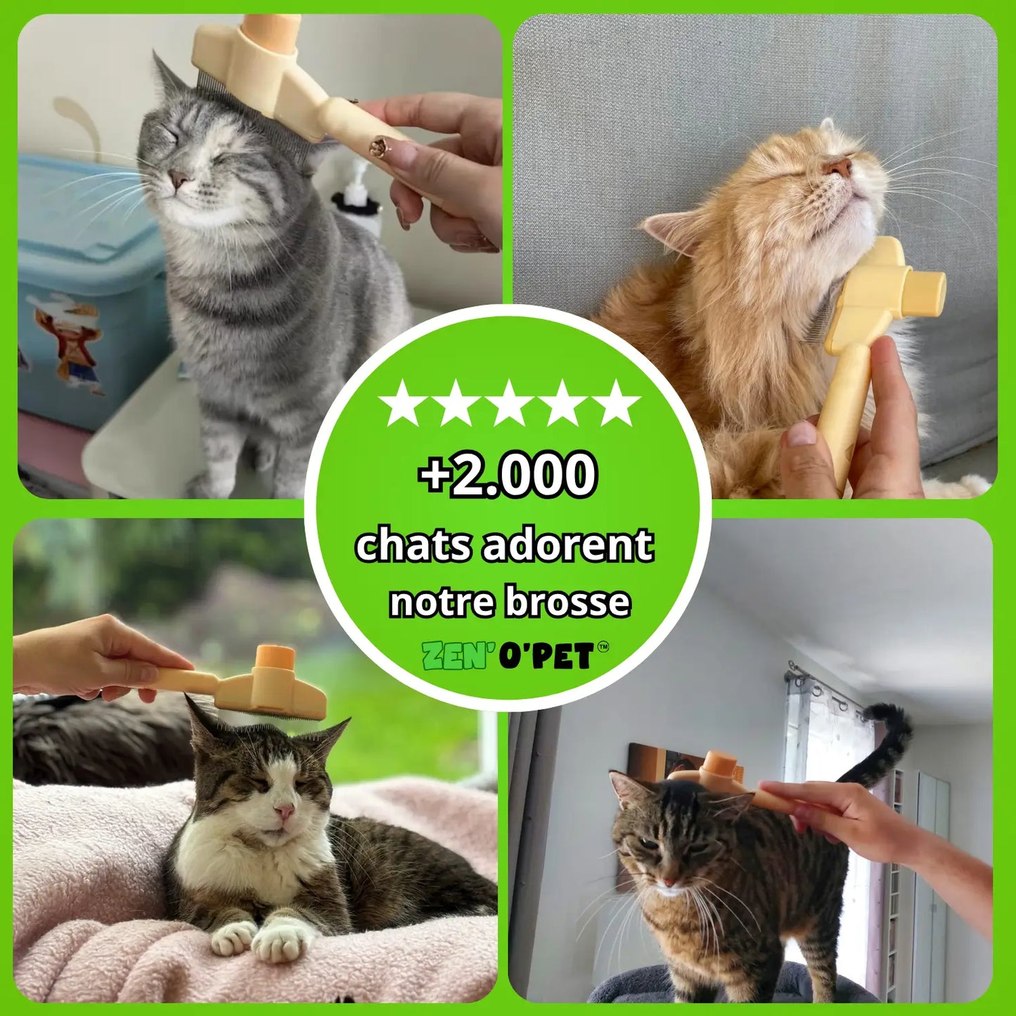 Calinou Brush - Best Seller