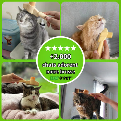 Calinou Brush - Best Seller