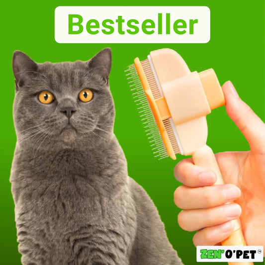 Calinou Brush - Best Seller