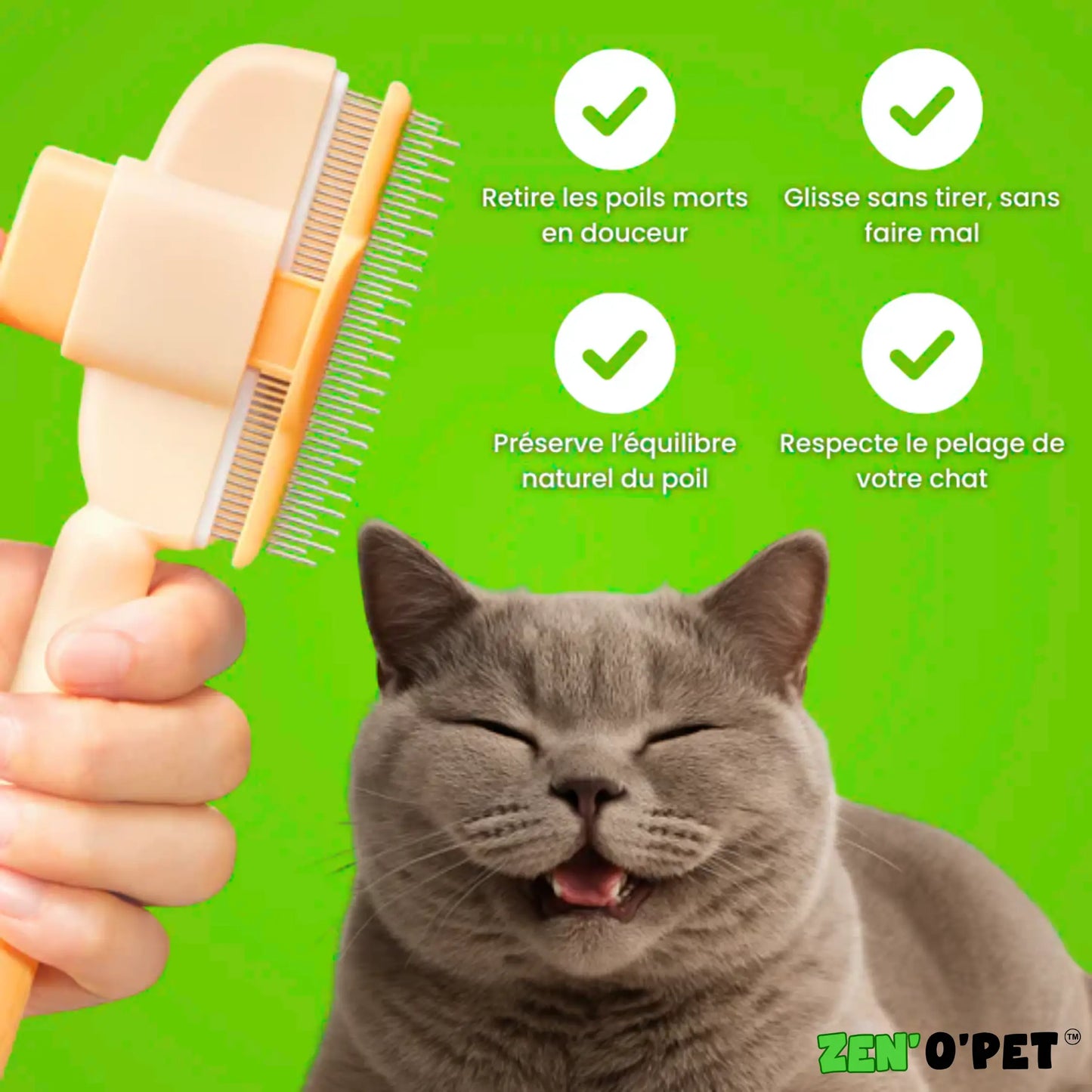 Calinou Brush - Best Seller
