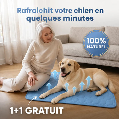 Arctic™ Cooling Mat — 2-for-1