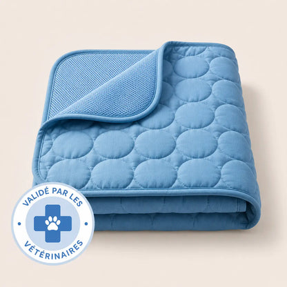 Arctic™ Cooling Mat — 2-for-1