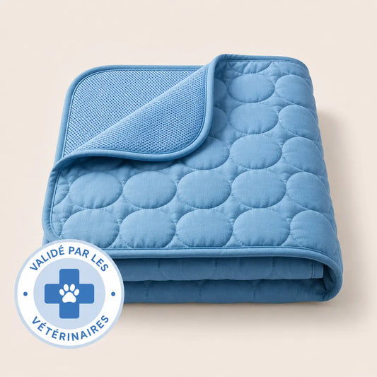 Arctic™ Cooling Mat — 2-for-1