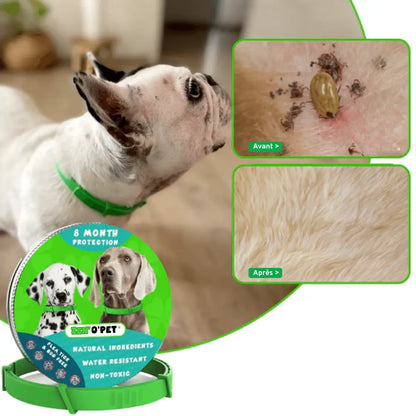 Flea and Tick Collar for Dogs – 8 Months of Protection