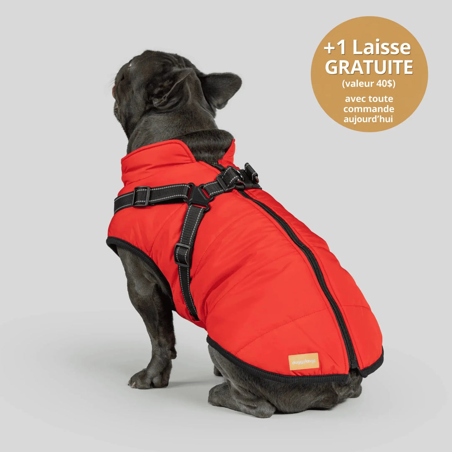 NordicPaws™ 3-in-1 Coat
