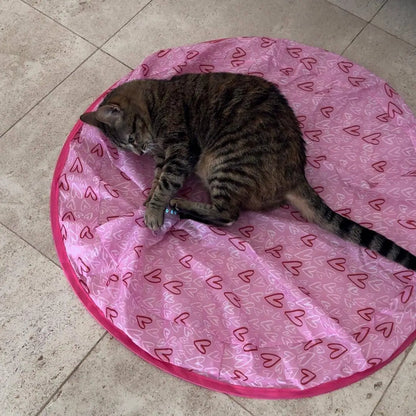 Therapeutic Hunting Toy for Indoor Cats