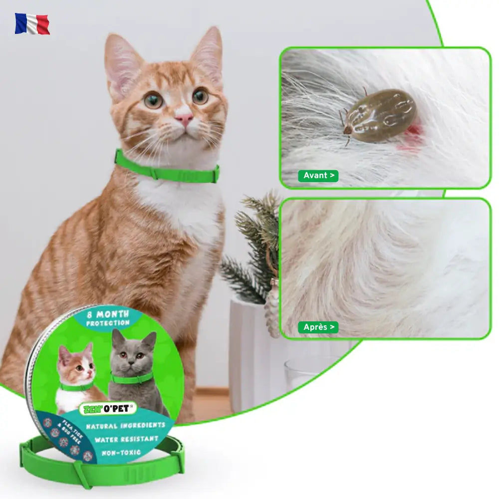 Flea and Tick Collar for Cats – 8 Months of Protection