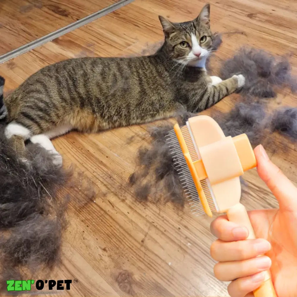 Calinou Brush - Best Seller