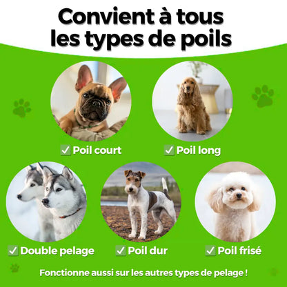 PelageZen Brush – Removes 95% of Pet Hair in 2 Minutes