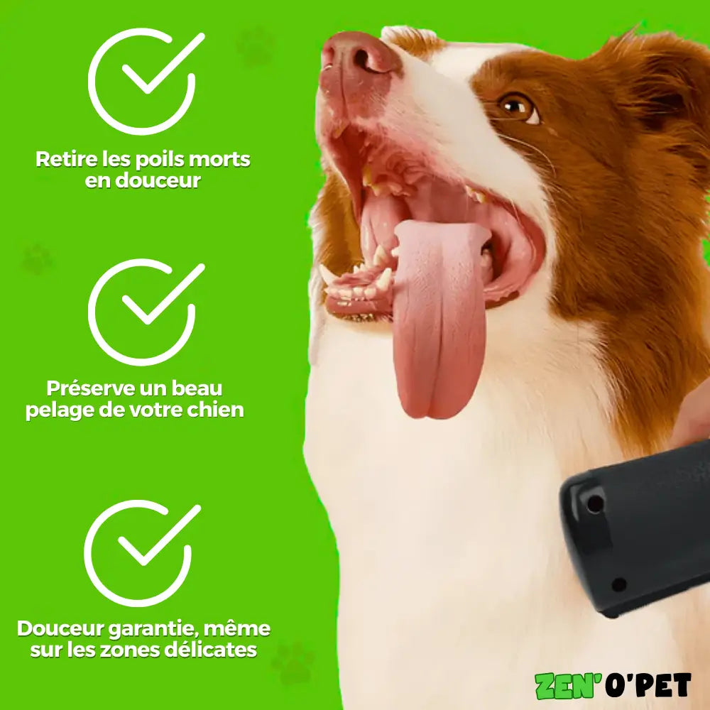 PelageZen Brush – Removes 95% of Pet Hair in 2 Minutes