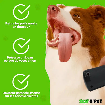 PelageZen Brush – Removes 95% of Pet Hair in 2 Minutes
