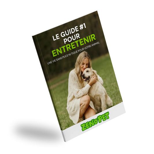 eBook - The #1 Dog Guide
