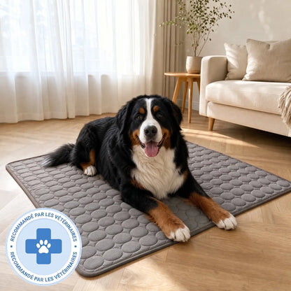 Arctic™ Cooling Mat — 2-for-1
