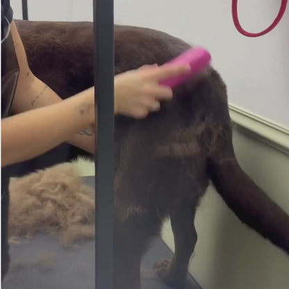 PelageZen Brush – Removes 95% of Pet Hair in 2 Minutes
